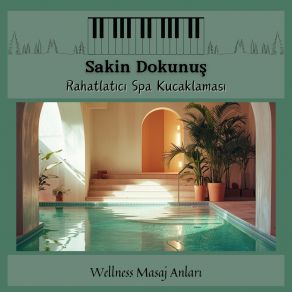 Download track Selülit Karşıtı Masaj Spa