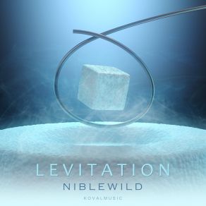 Download track Levitation (Radio Edit) Niblewild