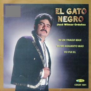 Download track Recogete El Gato Negro