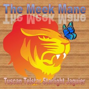 Download track Lion Grove Tuscan Telstar Starlight Jaguier