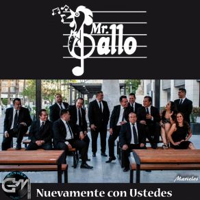 Download track Jugo De Piña Mr. Gallo