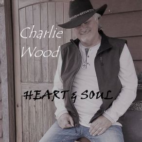 Download track Best Mistake Charlie Wood