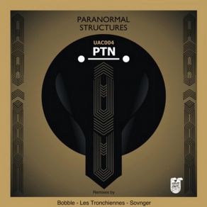 Download track Paranormal Structures (Les Tronchiennes Remix) PTN