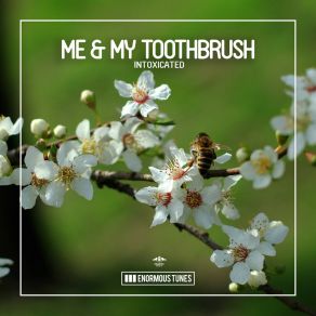 Download track Intoxicated (Extended Mix) Me My Toothbrush