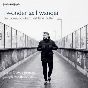 Download track Mahler: Des Knaben Wunderhorn (Version For Voice & Piano) [Excerpts]: No. 11a, Revelge James Newby, Joseph Middleton