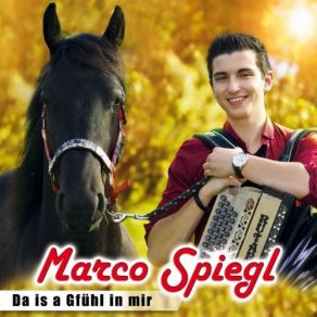 Download track Hoje Eu Sei' Marco Spiegl