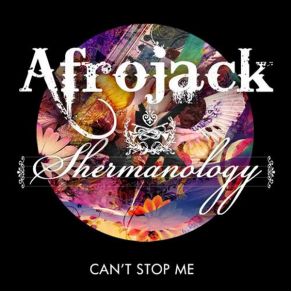 Download track Can't Stop Me (Kryder & Staar Remix) Afrojack, Shermanology