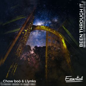 Download track Been Through It Llynks, Chow Boo