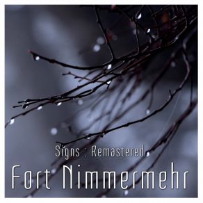 Download track Drive Fort Nimmermehr