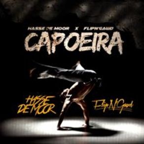 Download track Capoeira (Ntoy Kick Edit) HDM, Flip NGawd