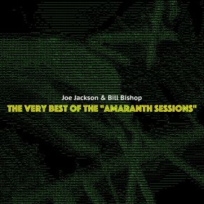 Download track The Vision Bill Bishop