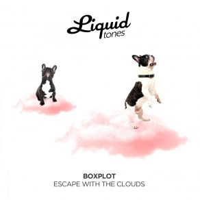 Download track Escape With The Clouds Boxplot