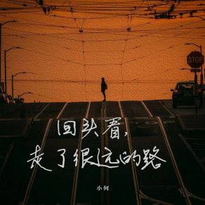 Download track 回头看，走了很远的路 (DJ铁柱版) Xiao He