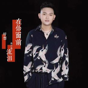 Download track 在你面前好想流泪 (DJ版) 朱小朱