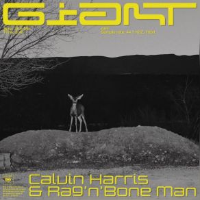 Download track Giant (Audien Remix) Calvin Harris, Rag N' Bone Man