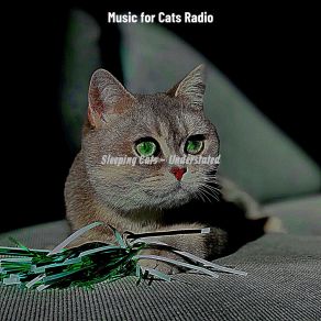 Download track Dream Like (Music) Music For Cats RadioThe Music