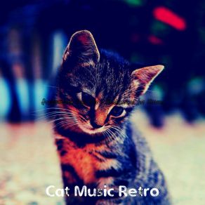 Download track Carefree Backdrops For Resting Kittens Cat Music Retro