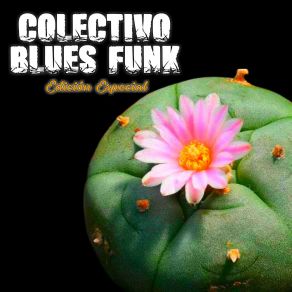 Download track Aluciné De Amor Colectivo Blues Funk