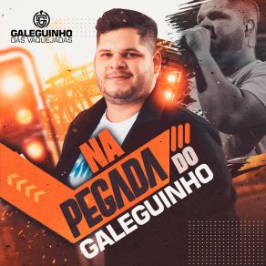 Download track Quase Tudo Galeguinho Das Vaquejadas