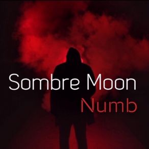 Download track Numb Sombre Moon