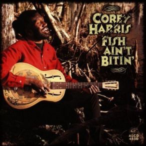 Download track Worried Life Blues Corey Harris