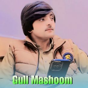 Download track Yari Gull Mashoom