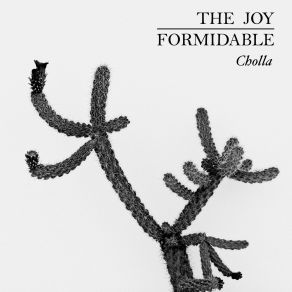 Download track Cholla (Acoustic Version) The Joy Formidable