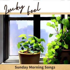 Download track Gentle Dawn Reflections Lucky Feel