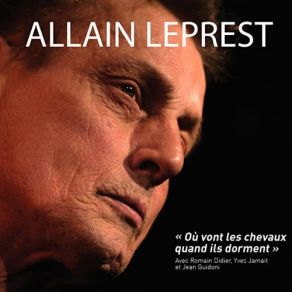 Download track La Retraite Allain LeprestRomain Didier