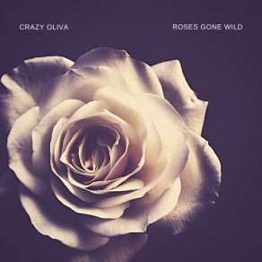 Download track Sunshine In The Sky Crazy Oliva