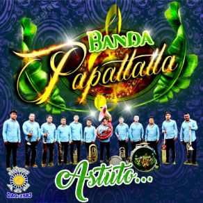 Download track Adolorido Banda Papatlatla