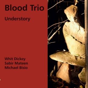 Download track Ancient Tree Blood Trio