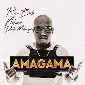 Download track Amagama (Acapella) Dladla Mshunqisi