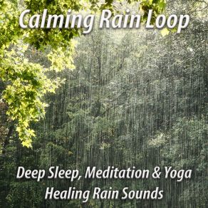 Download track Rain Forest Sound With Birds And Big Rain Drops For Relaxing And Meditation John Nature