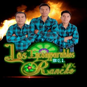 Download track Me Pones A Temblar Los Incomparables Del Rancho Mx