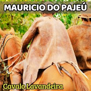 Download track Cavalo Lavandeira Mauricio Do Pajeú