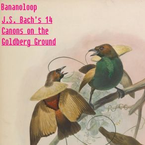 Download track Canon No. 2 (Canon All' Roverscio) Bananoloop