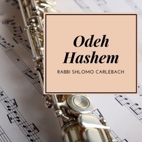 Download track L'shanah Habah (Next Year In Jerusalem) Rabbi Shlomo Carlebach