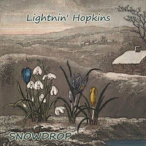 Download track Lightnin's Special Lightning Hopkins