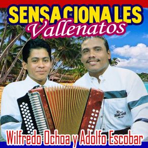 Download track No Te Ilusiones Wilfredo Ochoa