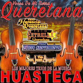 Download track Mi Taliman Los Mejores Trios De La Musica Huasteca