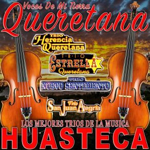 Download track El Cielito Lindo Los Mejores Trios De La Musica Huasteca