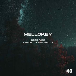 Download track Good Vibe (Eyes For You) MelloKey