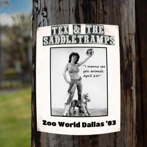 Download track Space (Live At Zoo World) Tex And The Saddletramps