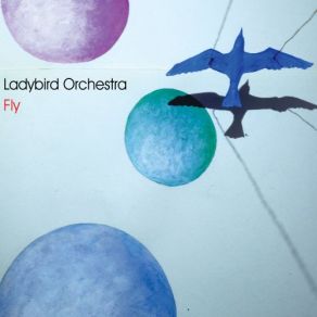 Download track Fast Train Jungle Ladybird Orchestra