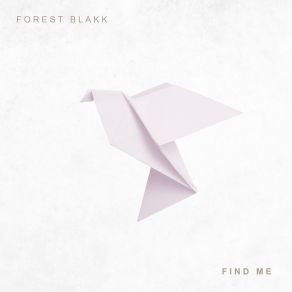 Download track Find Me Forest Blakk