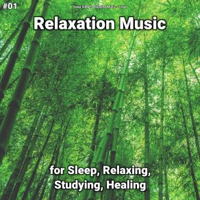 Download track Relaxation Music, Pt. 11 Yoga