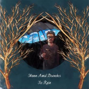 Download track Sun & Shade Moon Amid Branches