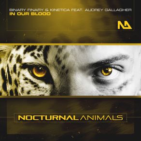 Download track In Our Blood (Extended Mix) Binary Finary, Audrey Gallagher, Kinetica