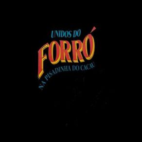 Download track Carente De Amor Unidos Do Forró